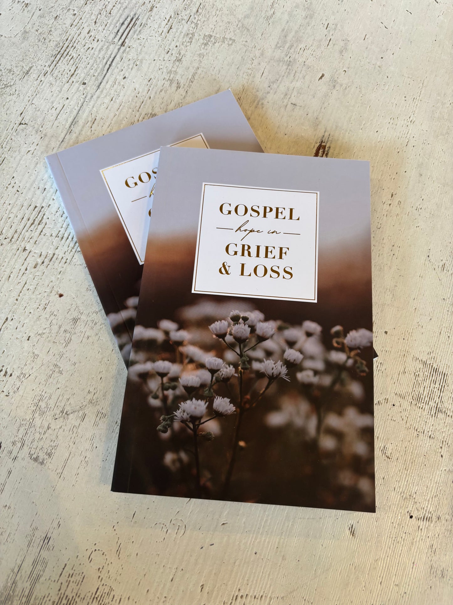 Gospel Hope in Grief and Loss