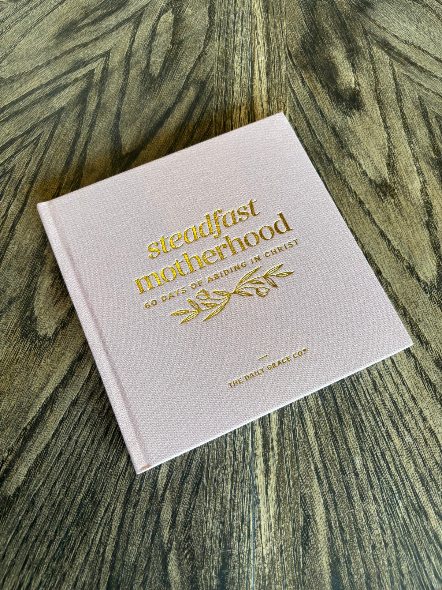 Steadfast Motherhood Devotional