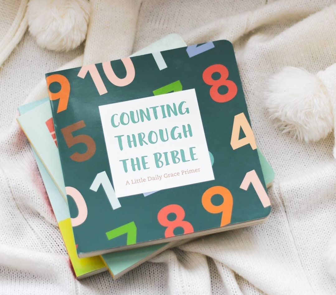 Counting Through the Bible Board Book